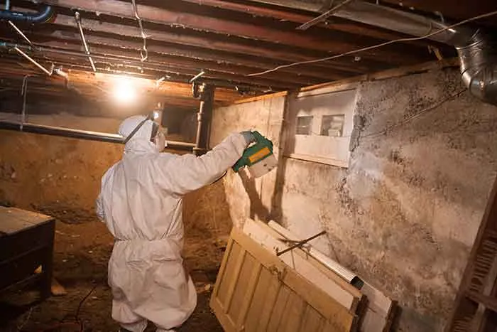 Crawl space mold remediation under a home in the Tampa Bay area
