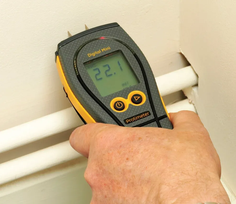 Technician using a moisture meter during a mold inspection in a Tampa Bay home